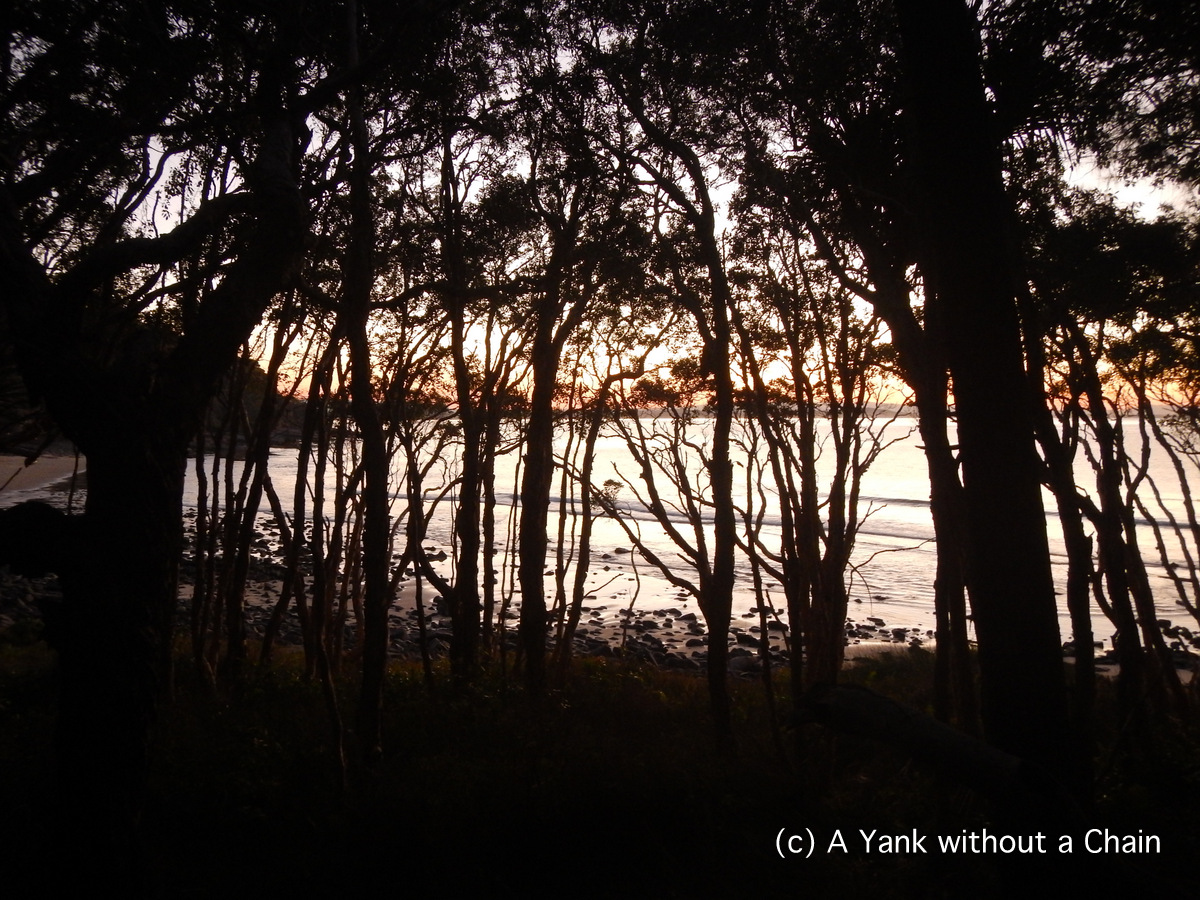 Sunset viewed from Noosa National Park