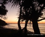 Sunset viewed from Noosa National Park