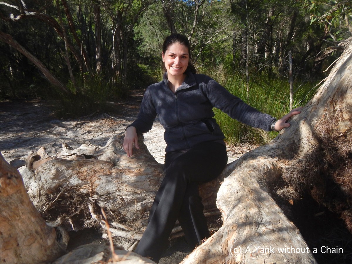 Hanging out at Poona Lake at the Great Sandy National Park