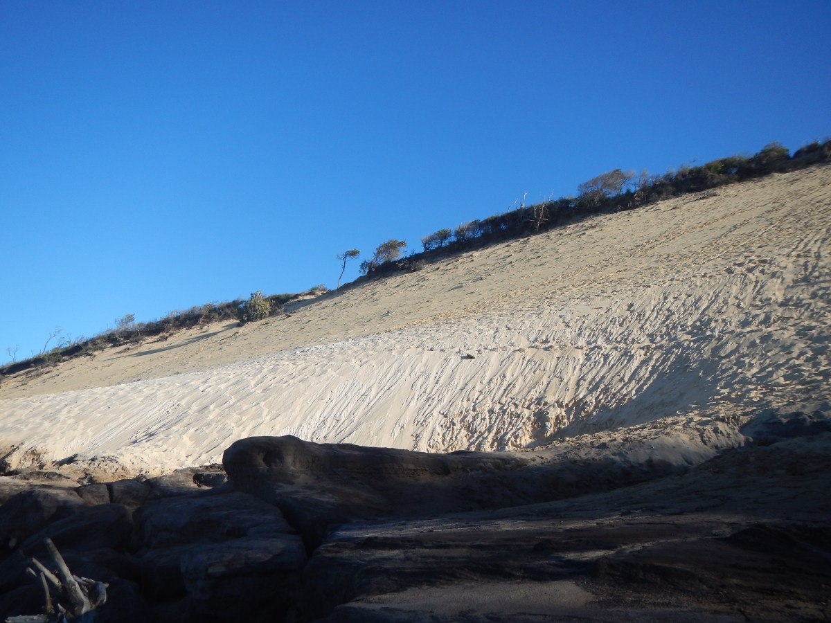 The dunes on Rainbow Beach
