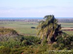 View over Bargara from the Hummock Lookout