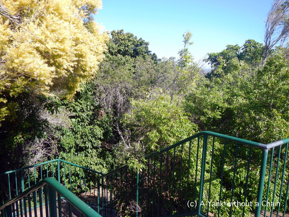 The walkway at the Hummock Lookout