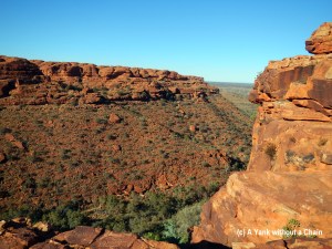 A view of Kings Canyon from the rim walk